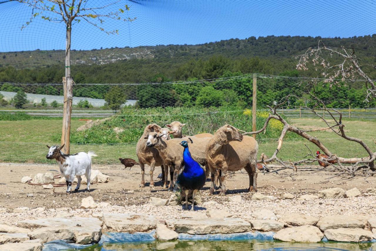 Lou Mas Li Pitchoun "Jasmin" Villa Gordes Exterior photo
